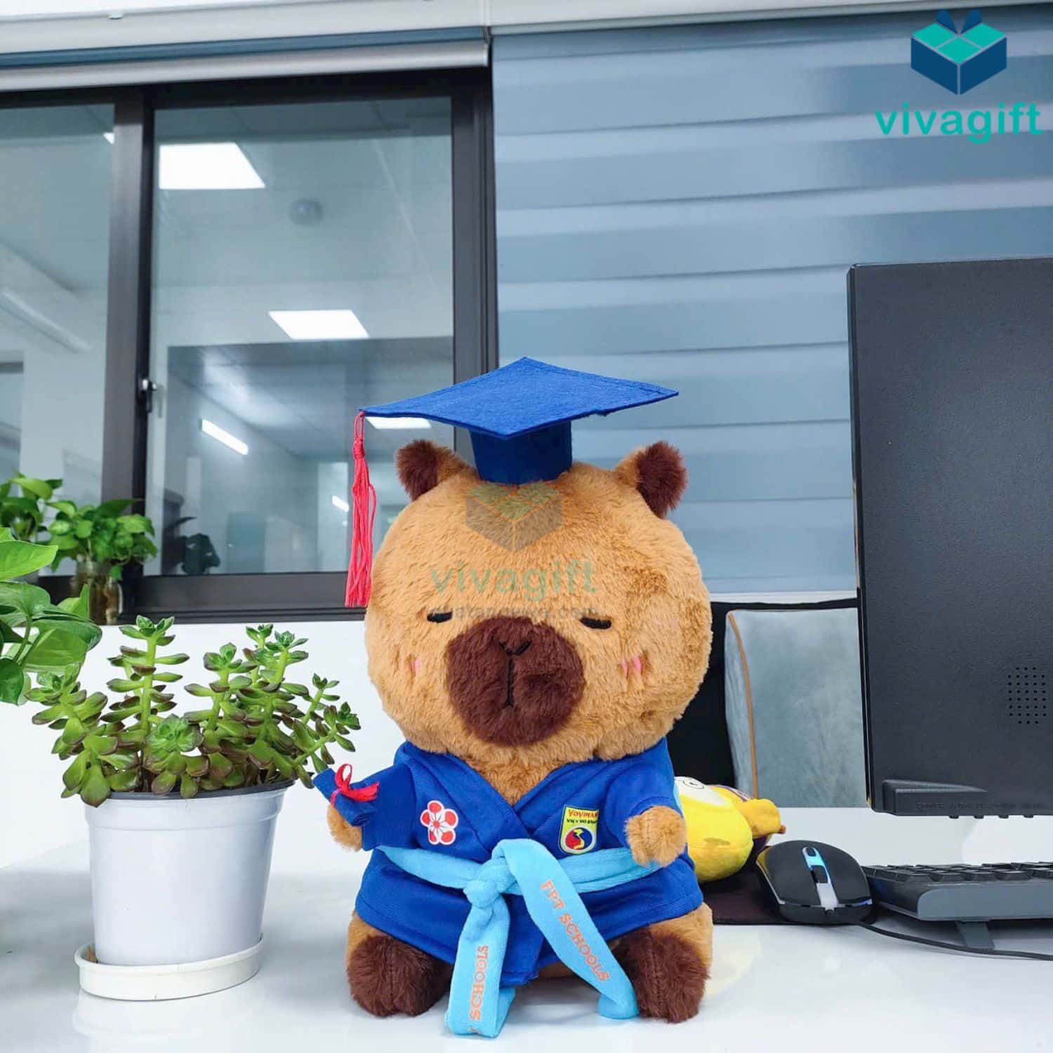 Top 10+ món quà tặng tốt nghiệp thiết thực và ý nghĩa 10 Top 10+ món quà tặng tốt nghiệp thiết thực và ý nghĩa - Quatangviva.com