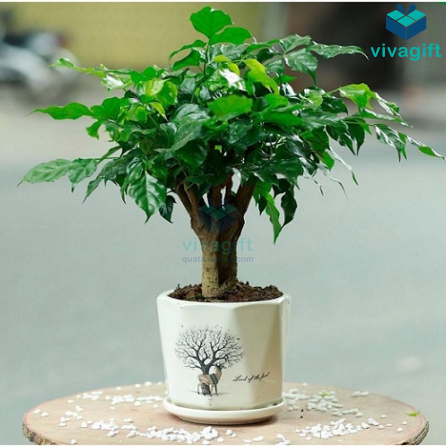 Danh sách 13 quà tặng 8/3 cho khách hàng, đối tác nữ độc đáo và ý nghĩa nhất 12 Danh sách 10+ quà tặng 8/3 cho khách hàng, đối tác nữ độc đáo và ý nghĩa nhất - quatangviva.com