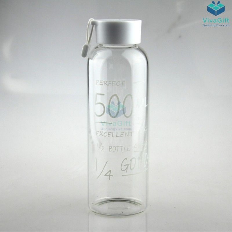 Bình nước nhựa 500ml có quai Q011 in logo công ty làm quà tặng