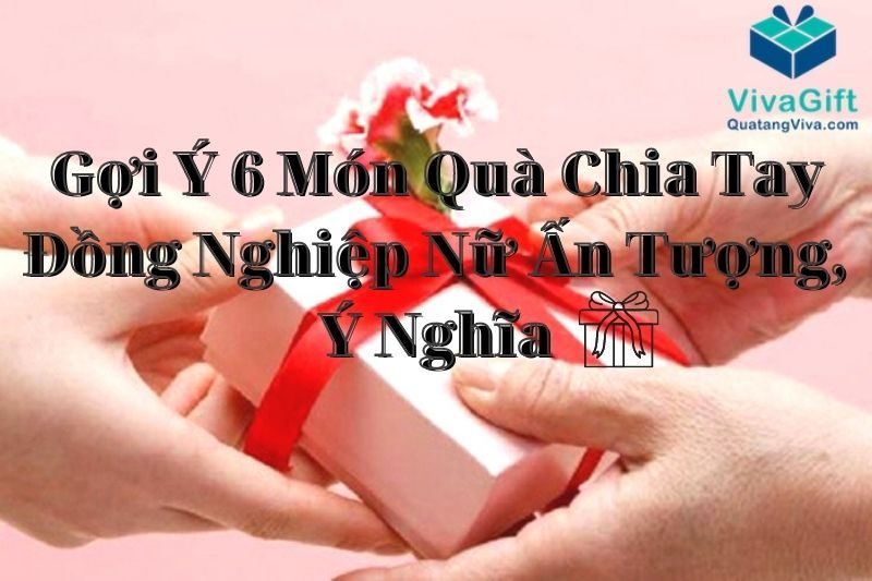 6 mon qua chia tay dong nghiep nu an tuong y nghia 8 VivaGift