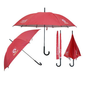 Dù Cầm Tay Cán Cong Bán Kính 60cm Cán Nhựa D038 - Quà Tặng Viva