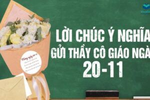 Lời Chúc 20/11 Chân Thành, Gửi Gắm Tình Cảm Đến Thầy Cô Kính Yêu - Quà tặng Viva