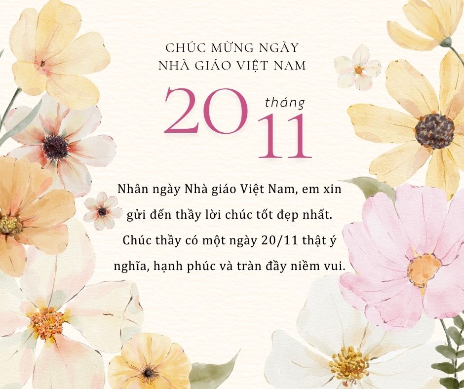 100+ Lời Chúc 20/11 Chân Thành, Gửi Gắm Đến Thầy Cô - Quà tặng Viva