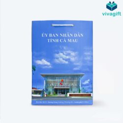 #1 Túi Giấy Quà Tặng In Logo – Túi Quà Giấy Giá Tốt