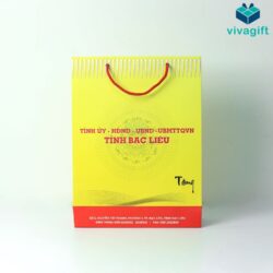 #1 Túi Giấy Quà Tặng In Logo – Túi Quà Giấy Giá Tốt