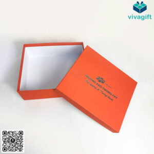 Hộp Đựng Áo Mưa FPT HAD32